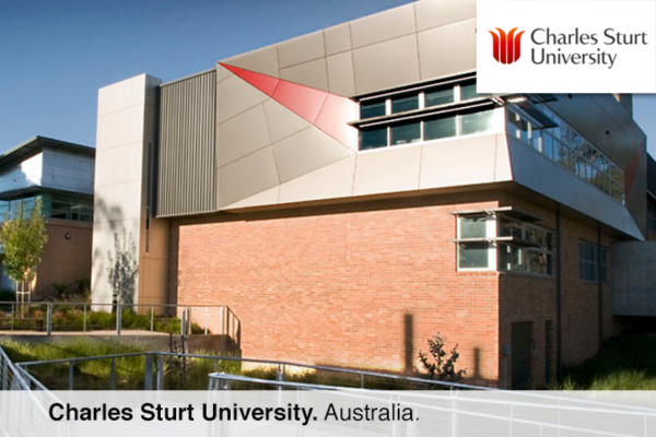 Office Chairs Cleaning